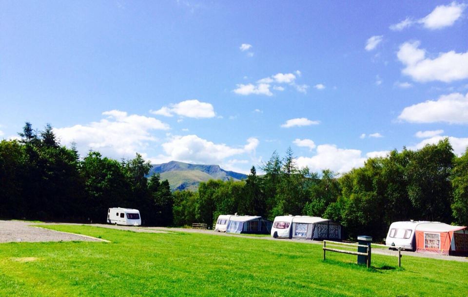 Caravans on the grass under trees