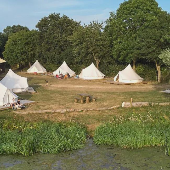 Bell tents under the trees