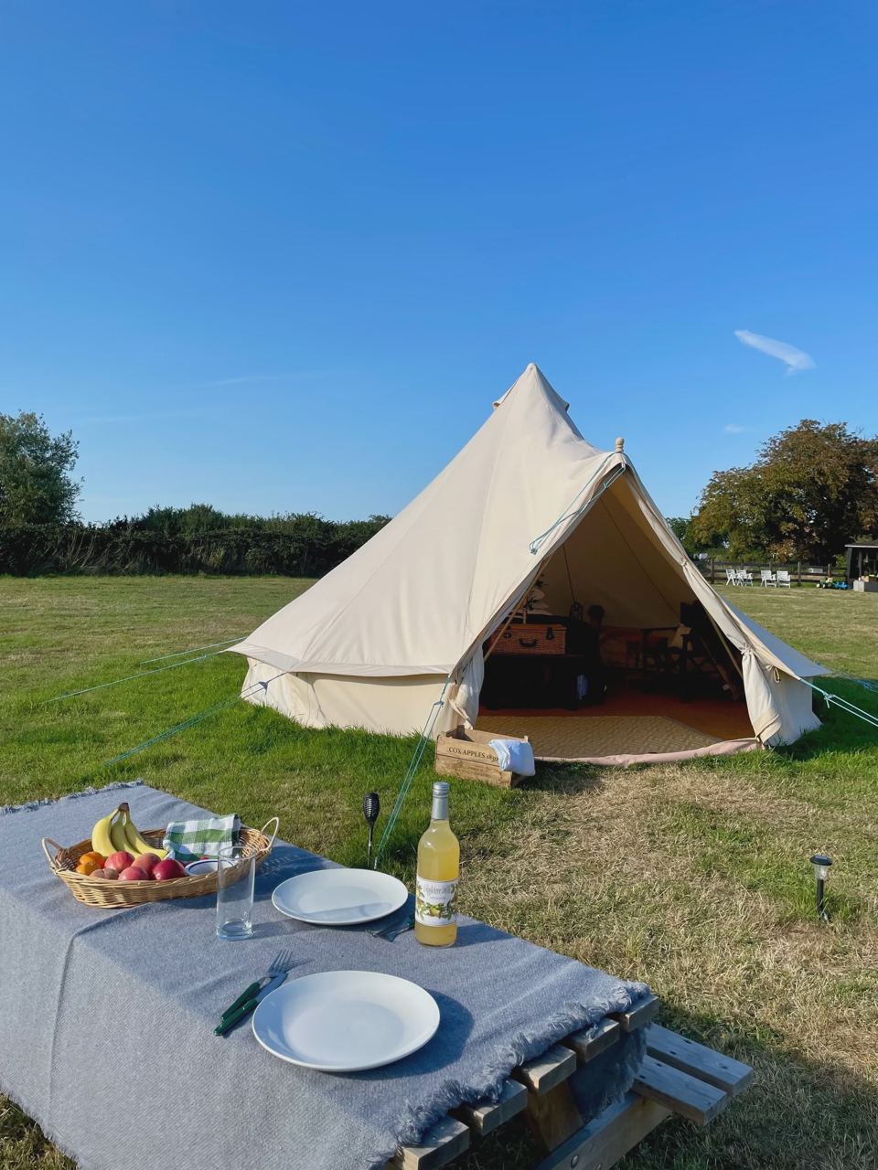 Bell tent in the field
