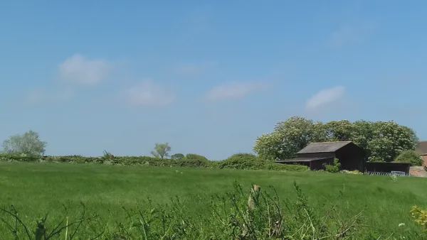 Field on the farm