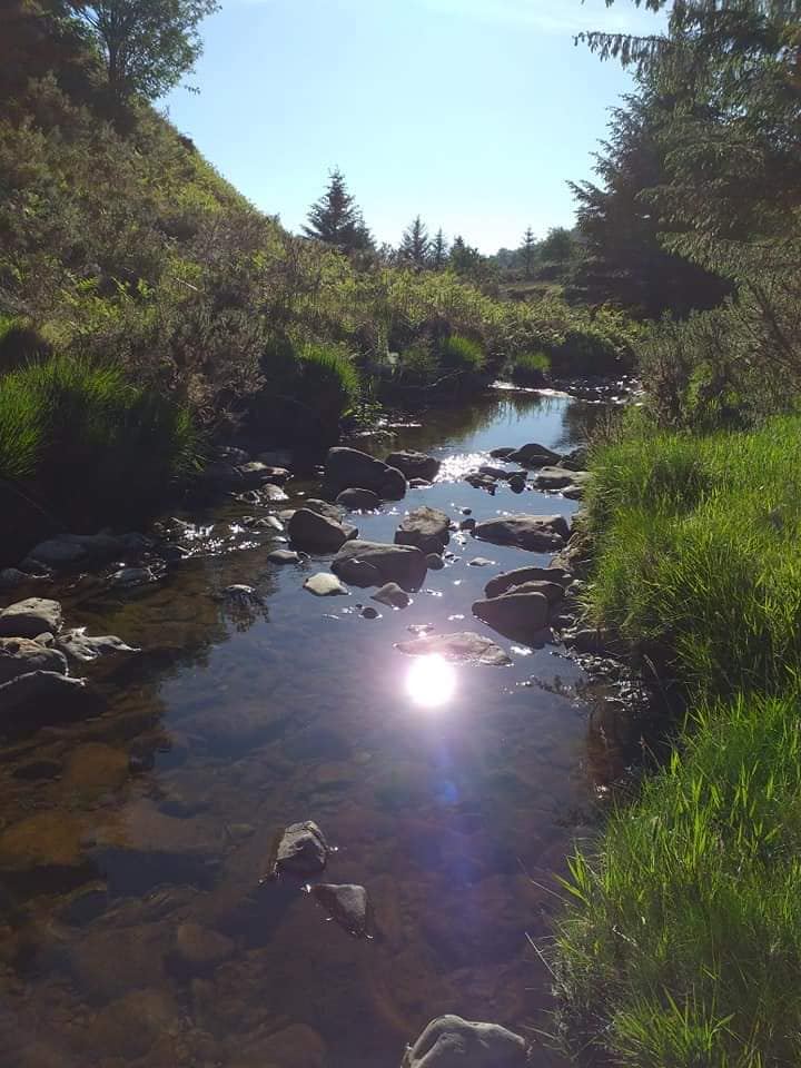 Stream near the farm