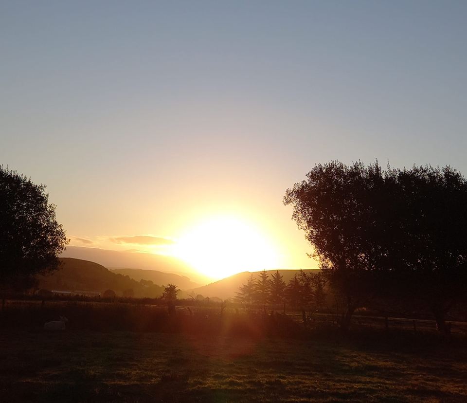 Sunset over the field