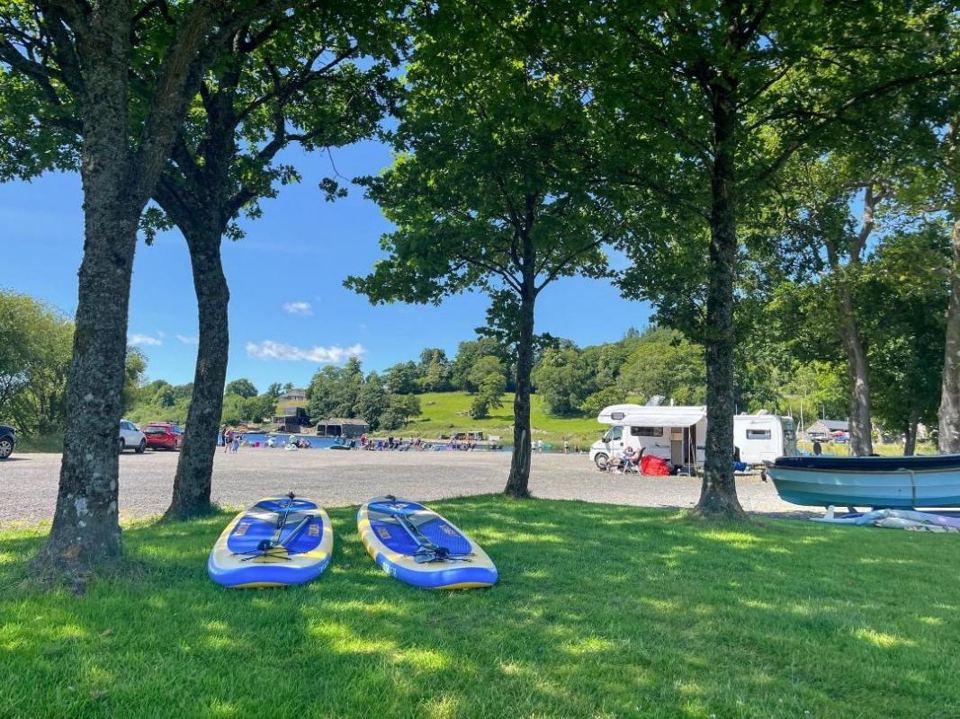 Paddleboards on the grass by the shore