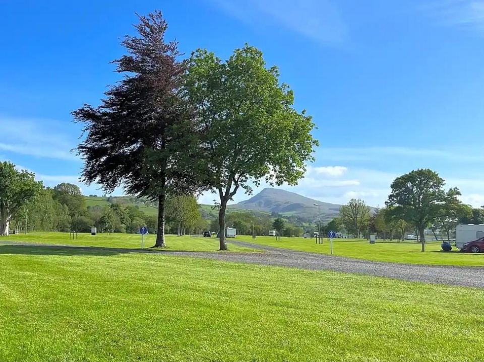 Open grass with mountain view