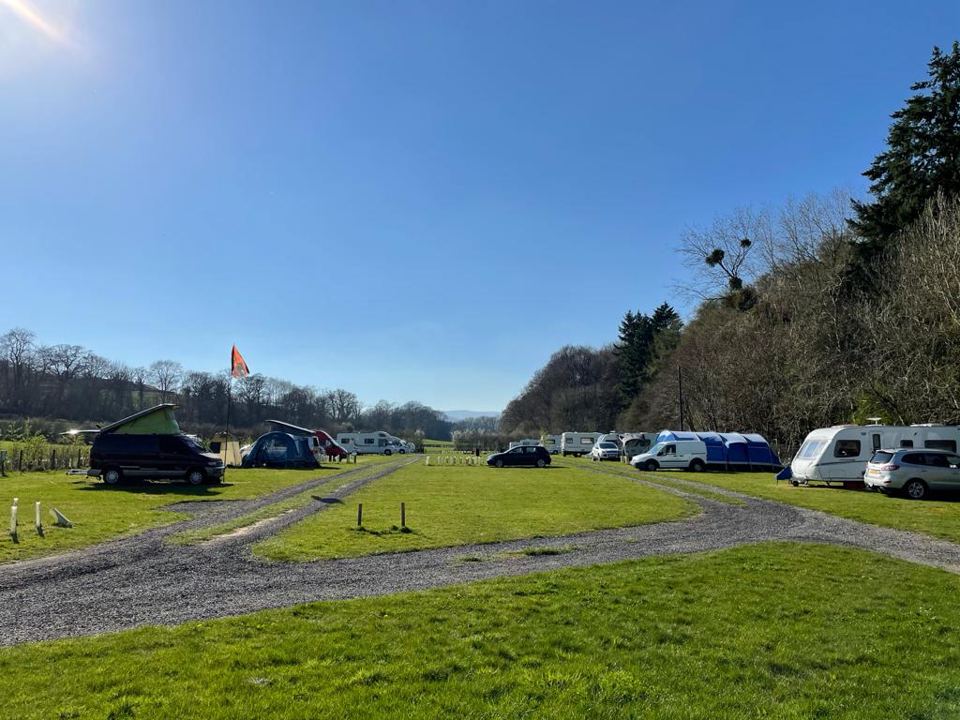 Tents and vans by the trees
