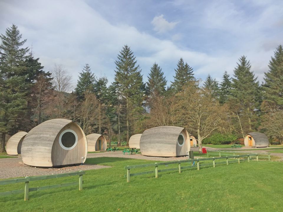 Camping pods among the trees