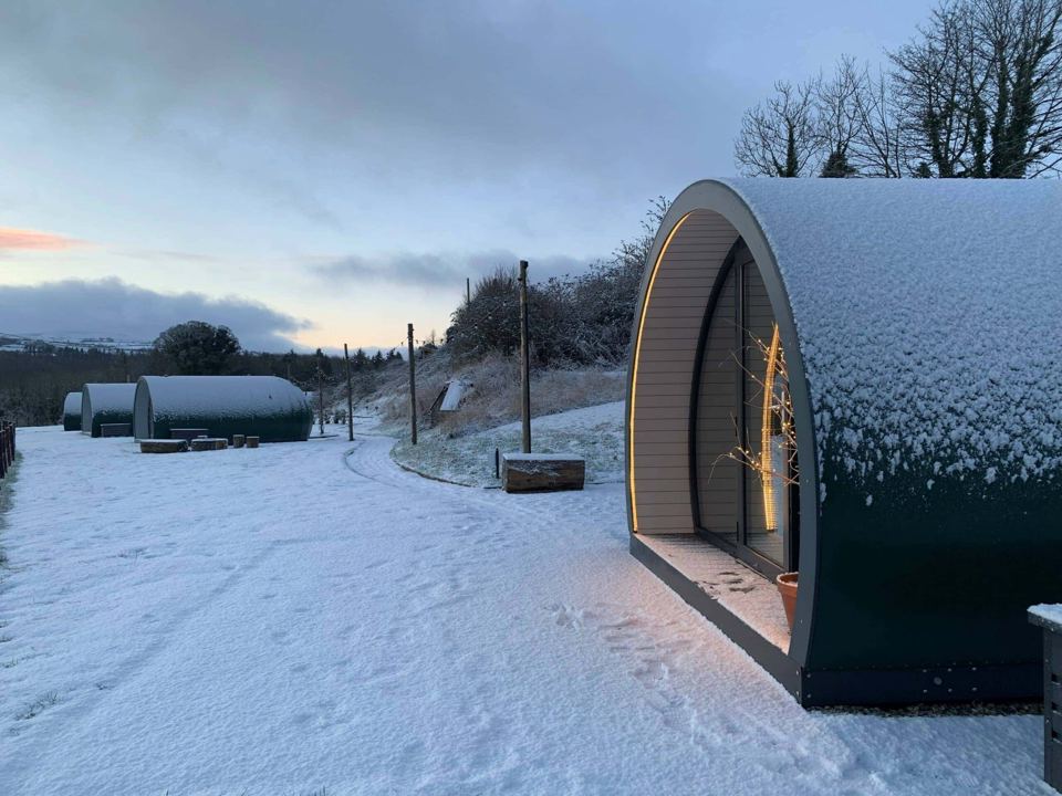 Pods in the snow