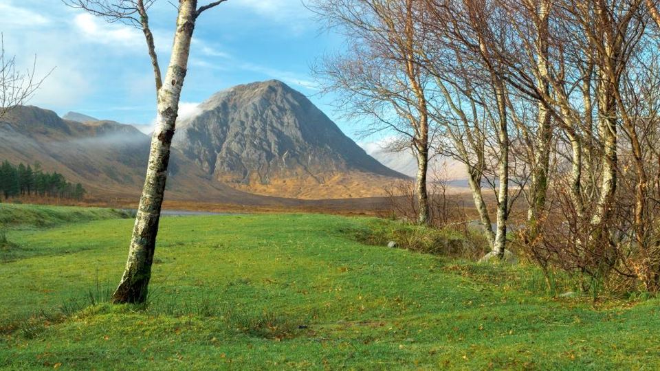 Grass with Buachaille Etive Mor behind