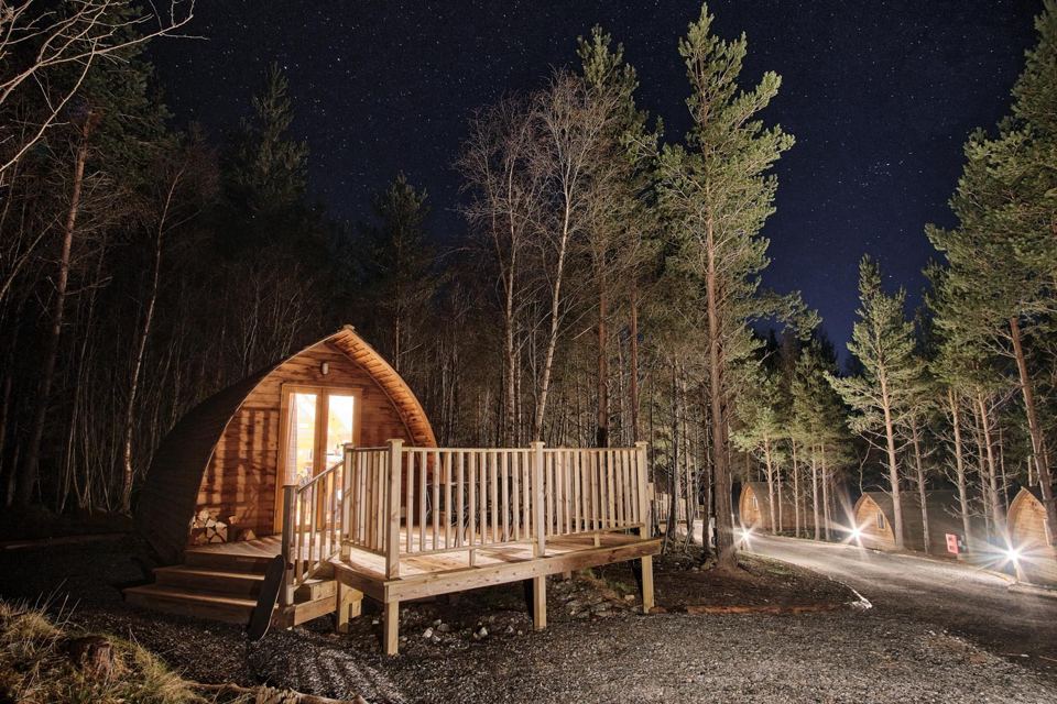Cabin among pines at night