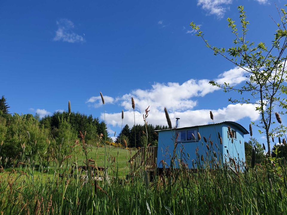 Blue shepherd's hut in the meadow