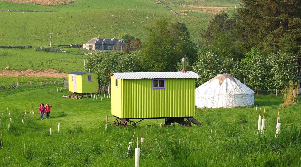 Shepherd's huts and a bell tent