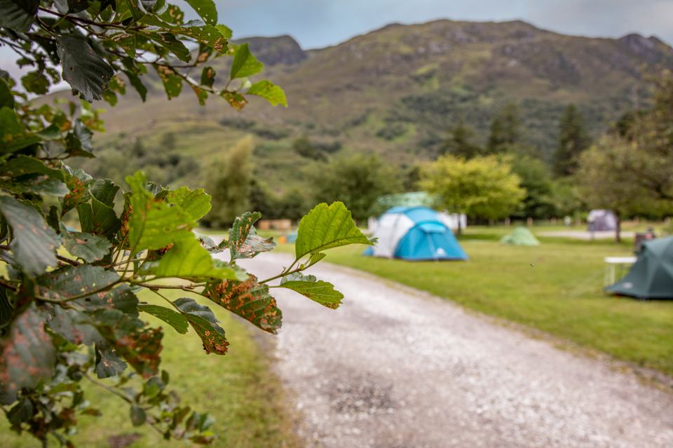 Tents on the grass beside the track