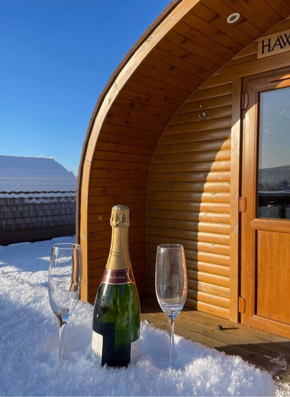 Pod in the snow