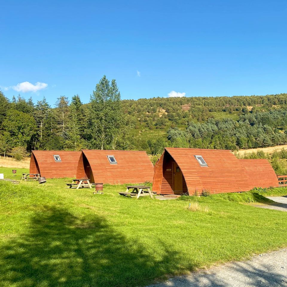Row of pods on the grass