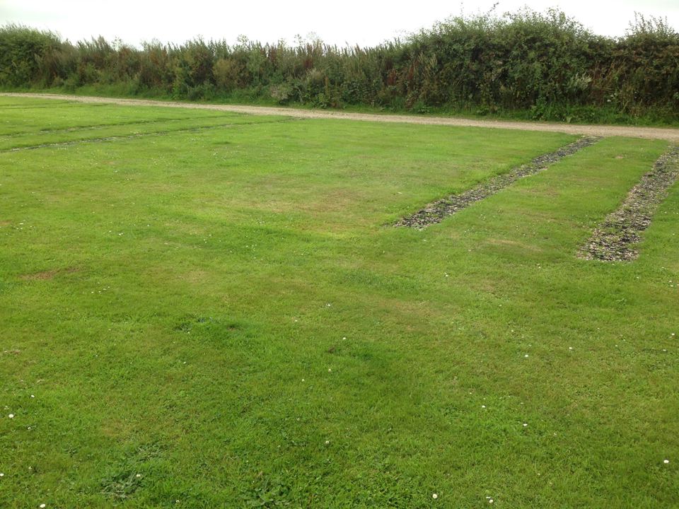 Grass pitches with mown edge