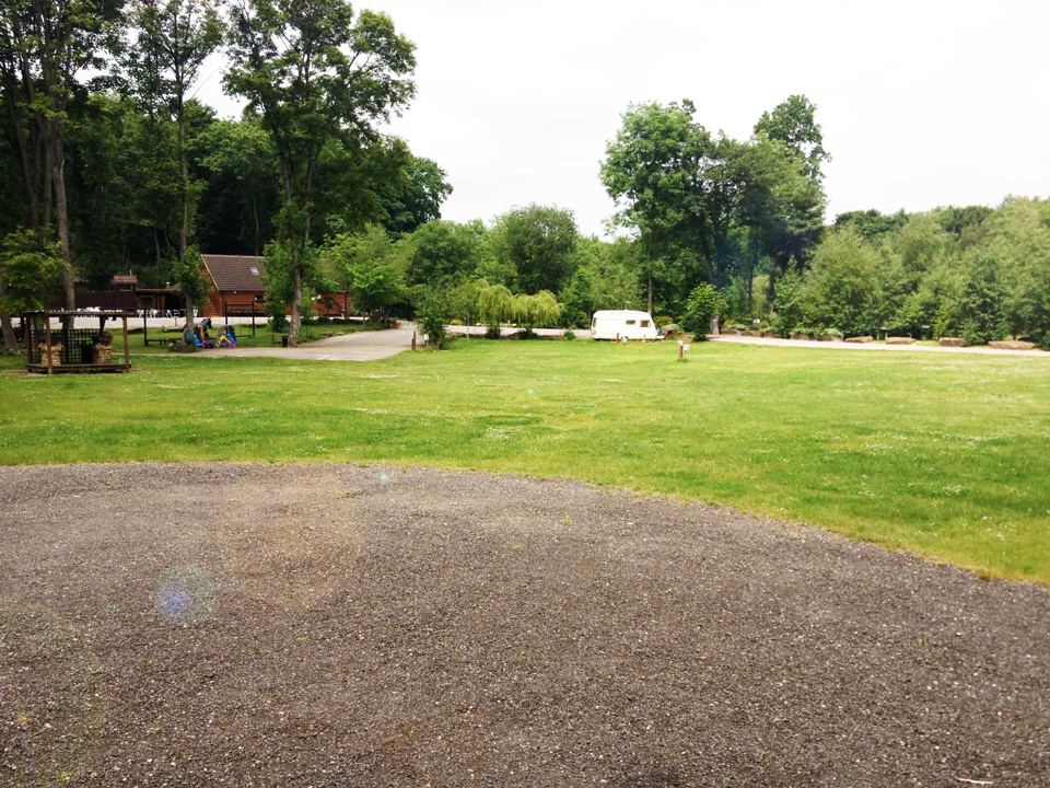 Pitches among the trees
