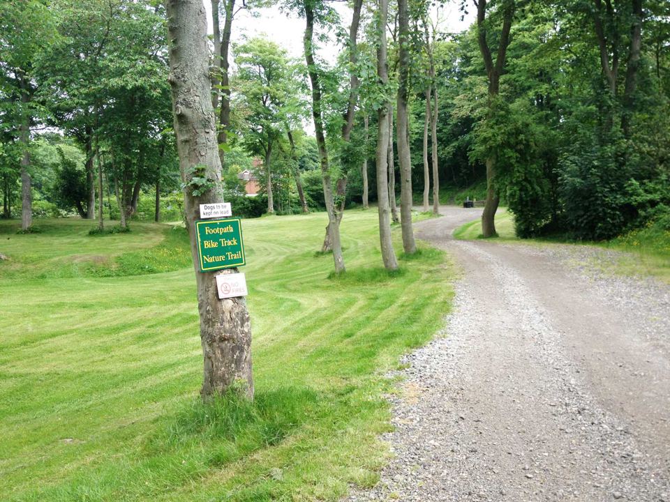 Woodland trail