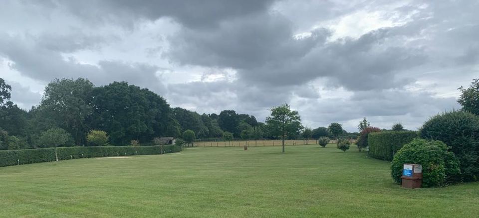 Open grass with hedges