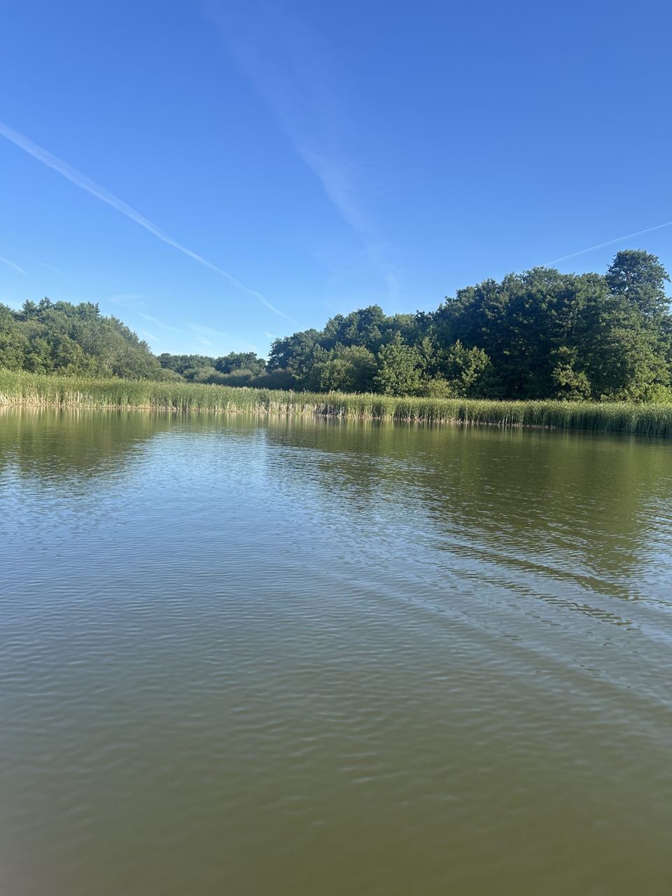 View across the lake