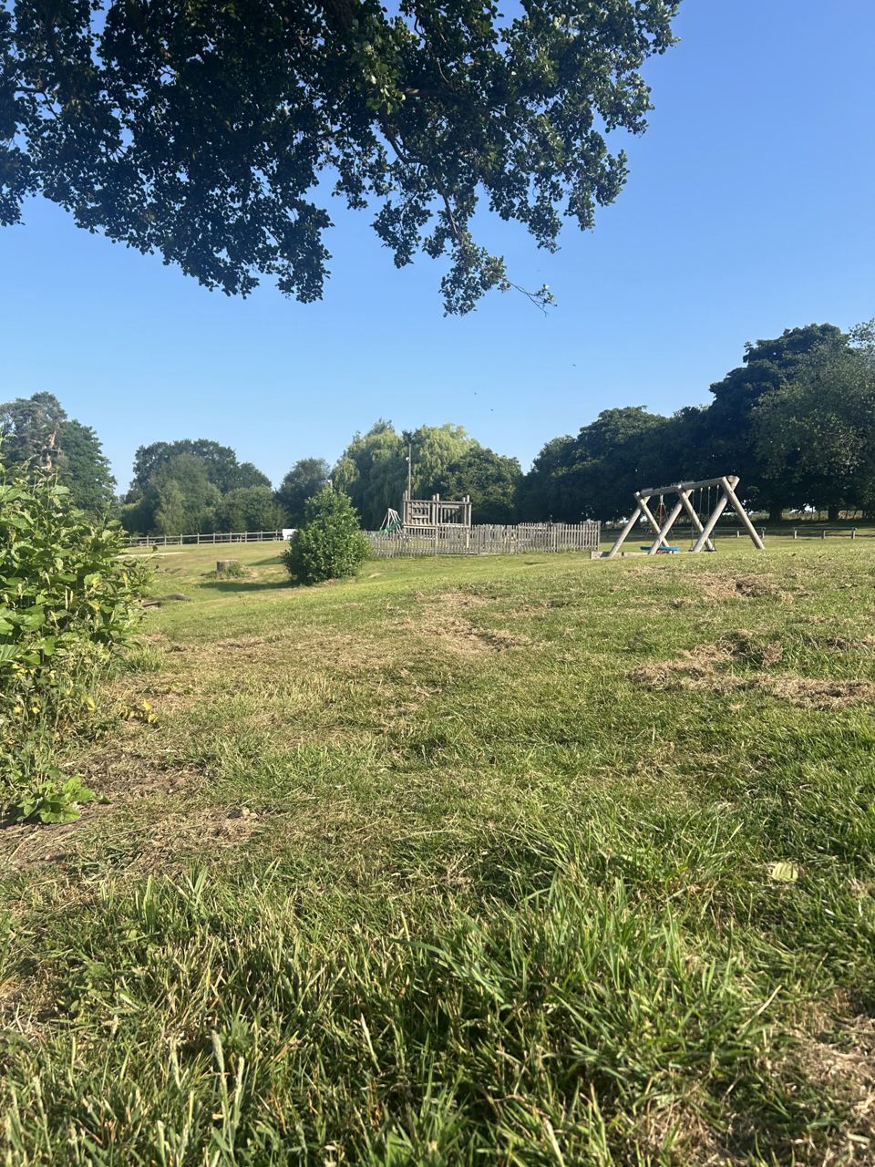 Grass field with play frame