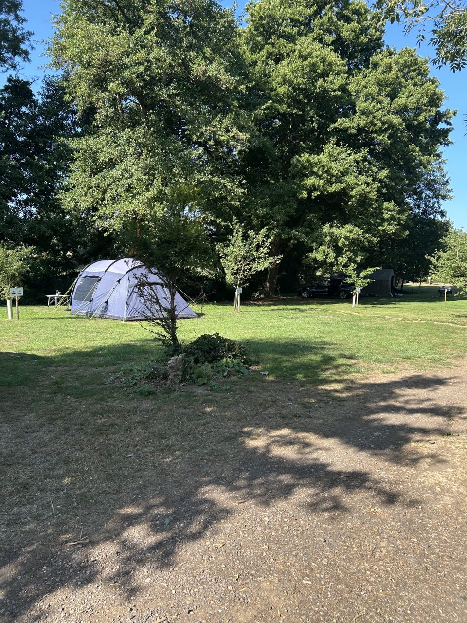 Tent pitched under a tree