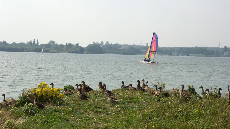 Dinghy sailing on the reservoir
