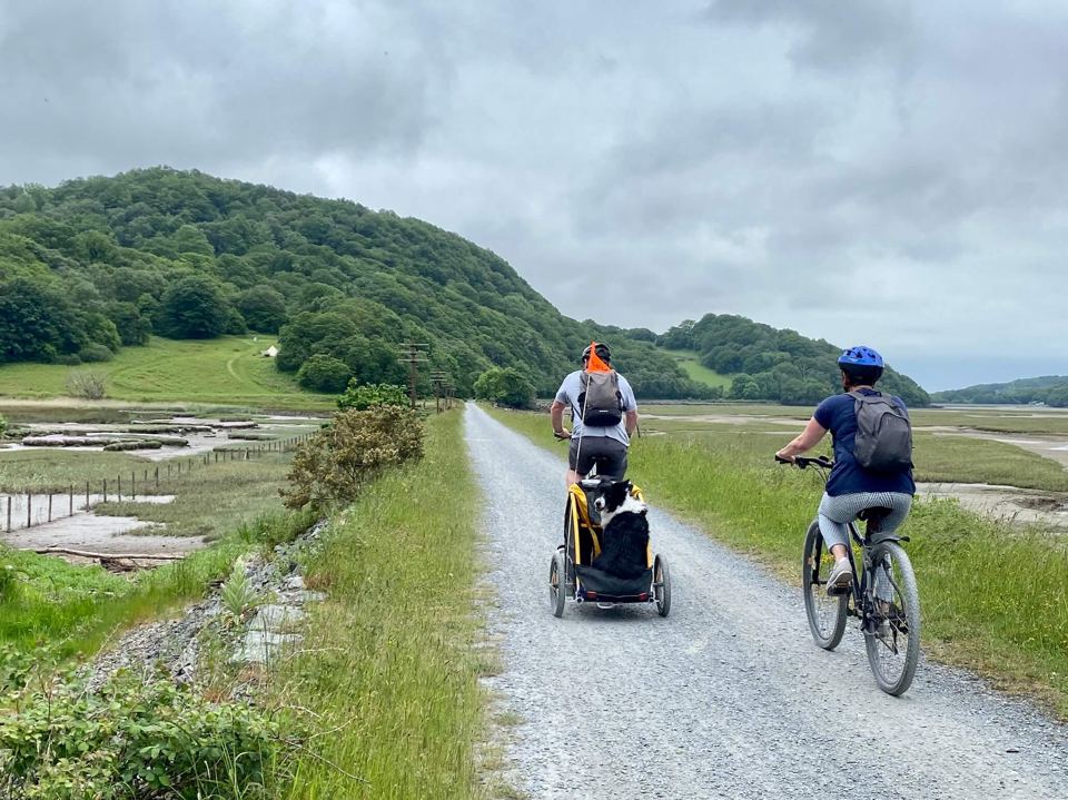 Cyclists on the Mawddach Trail