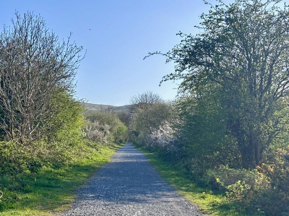 Mawddach Trail beside the site