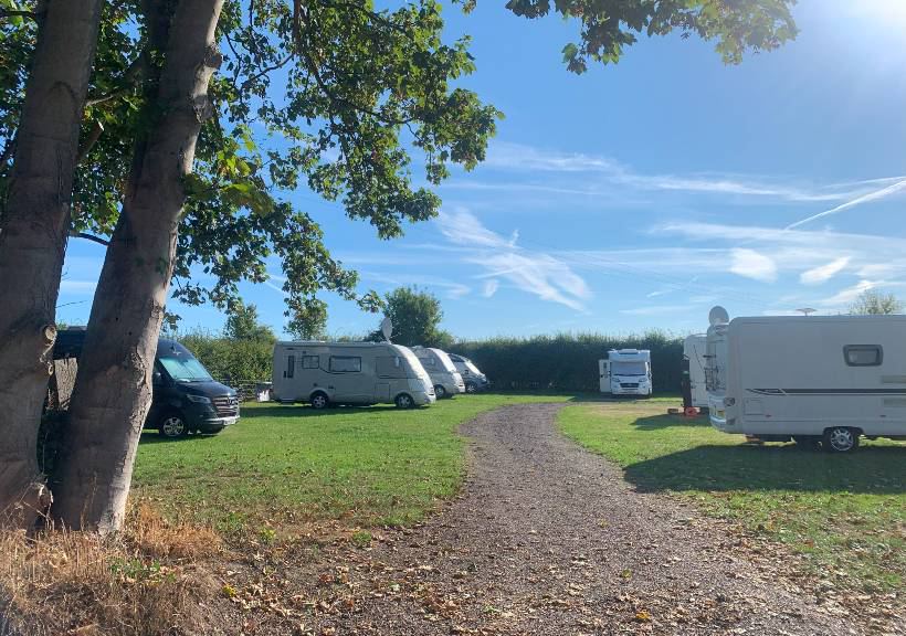 Pitches by the trees