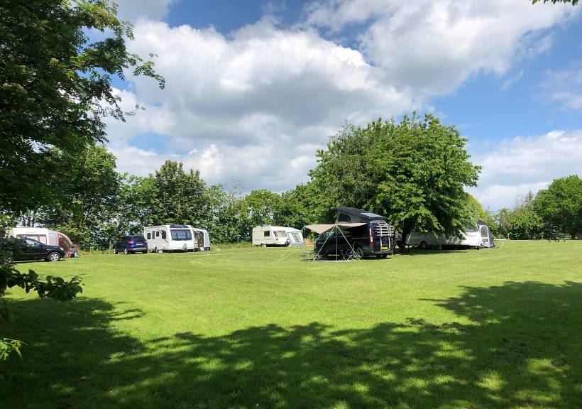 Pitches under the trees