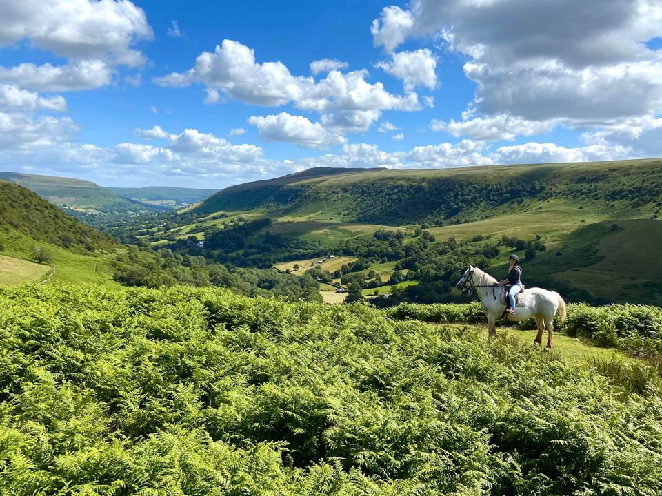 Riders on the bracken slopes