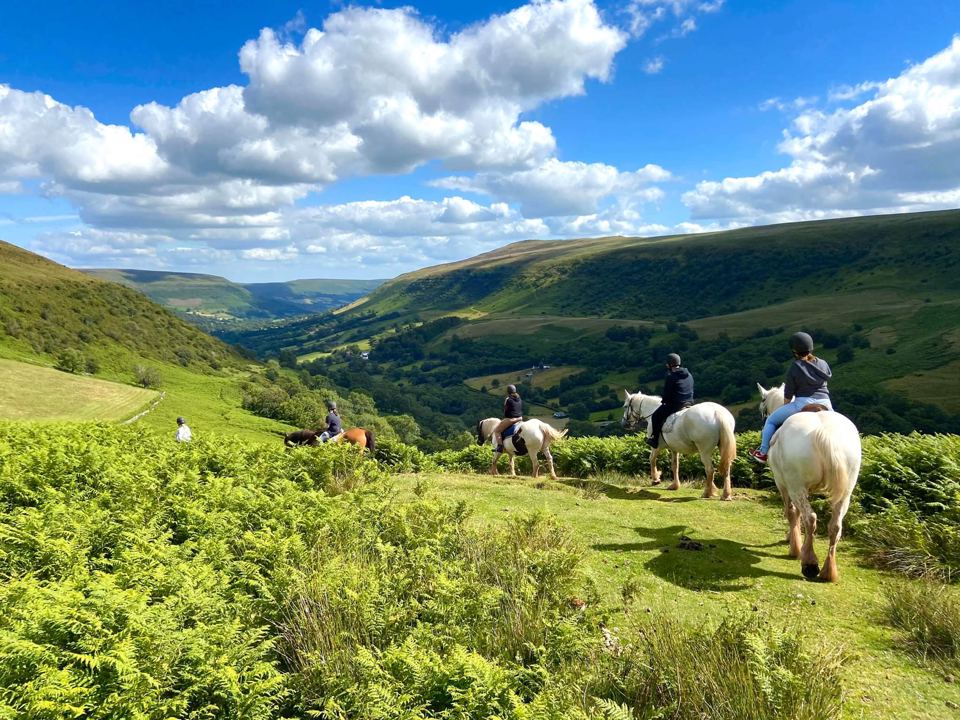 Trek above the Black Mountains valley