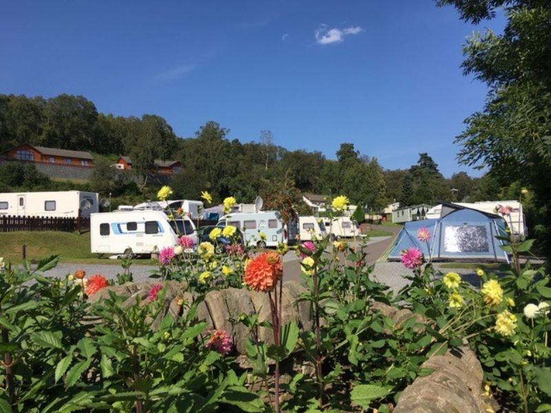 Touring pitches with flower beds
