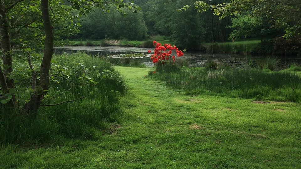 Pond and grass path