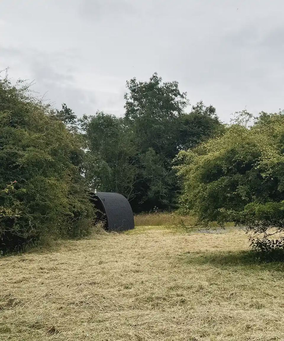 Cabin in the clearing