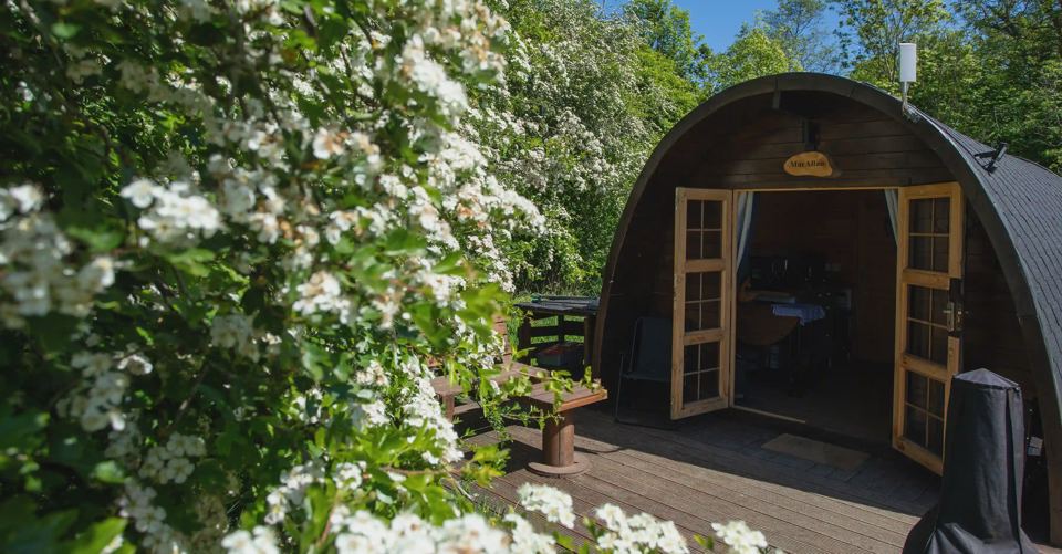 Cabin among the blossom
