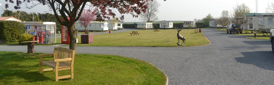 Gravel road through the grass