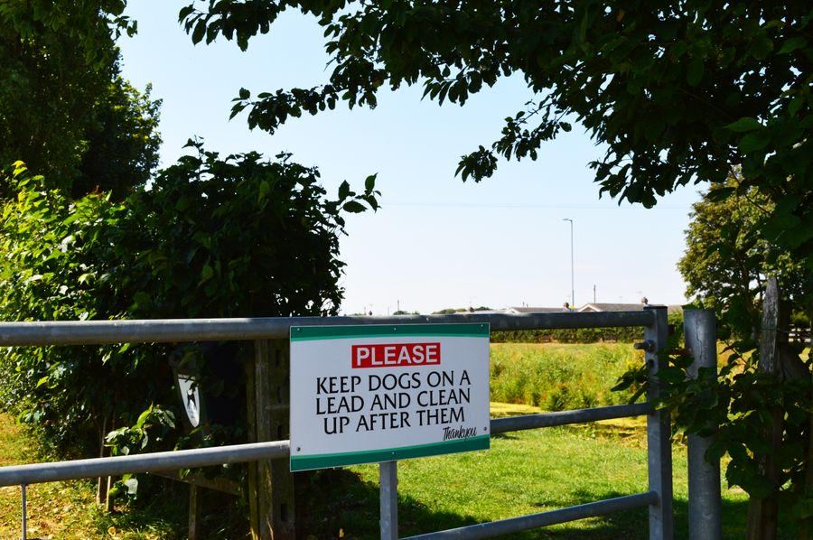 Dog walk gate