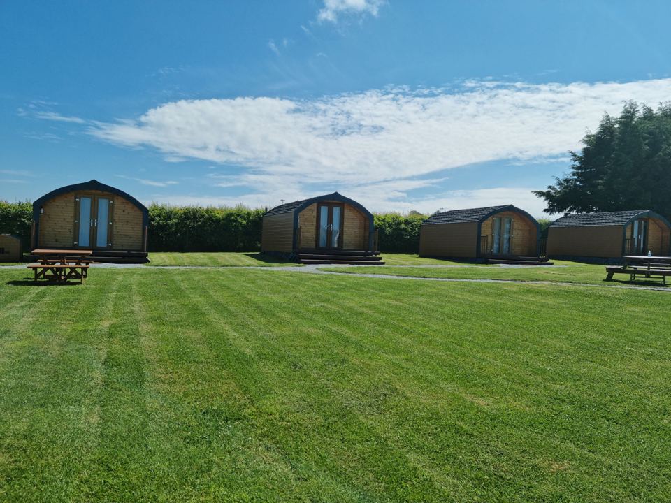 Row of pods on the lawn