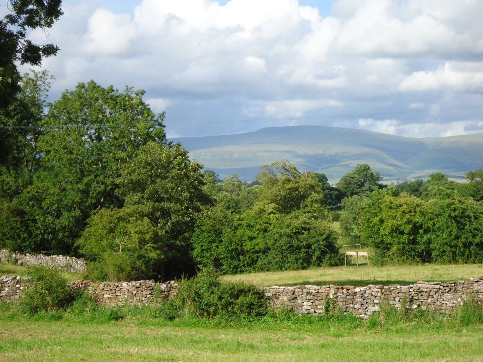 View of the hills from the site