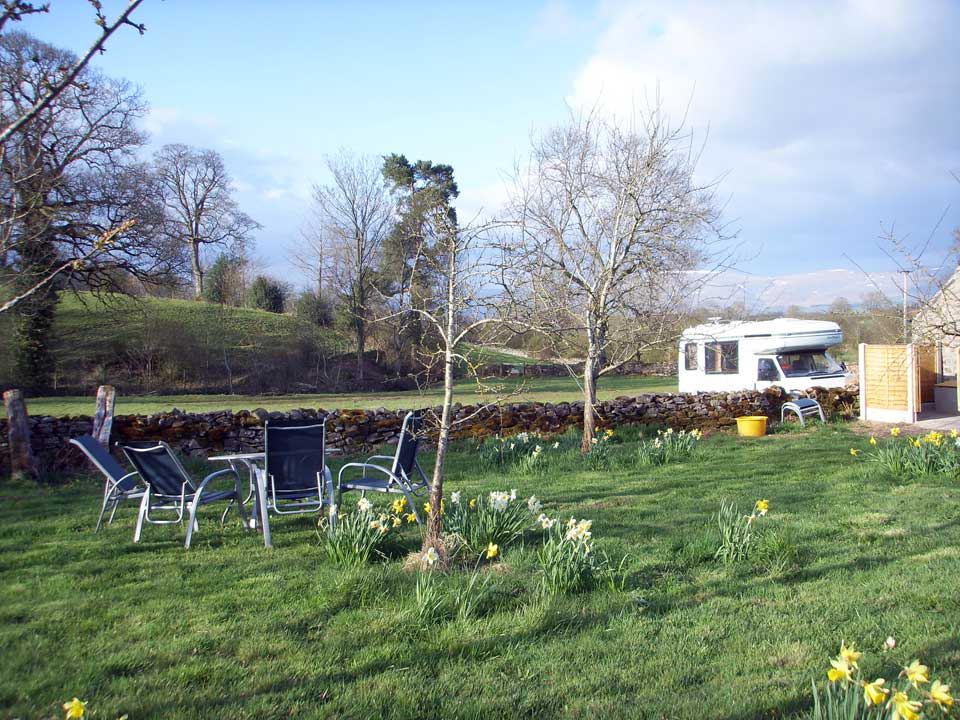 Motorhome and chairs by the daffodils
