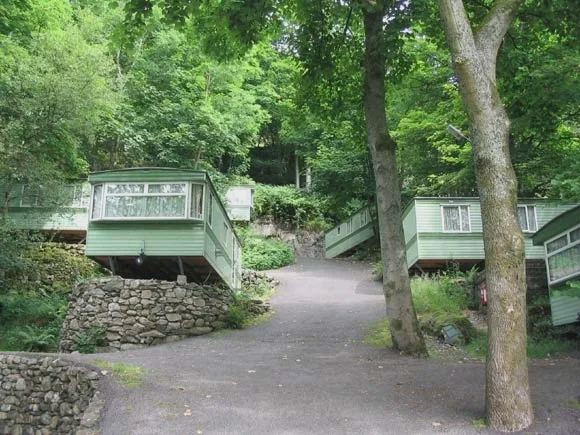 Static caravans on a wooded slope