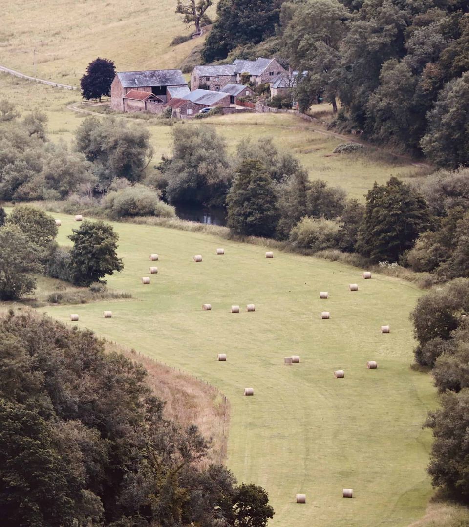Farm and fields from above