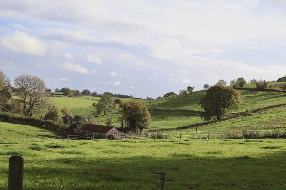 Rolling Forest of Dean farmland