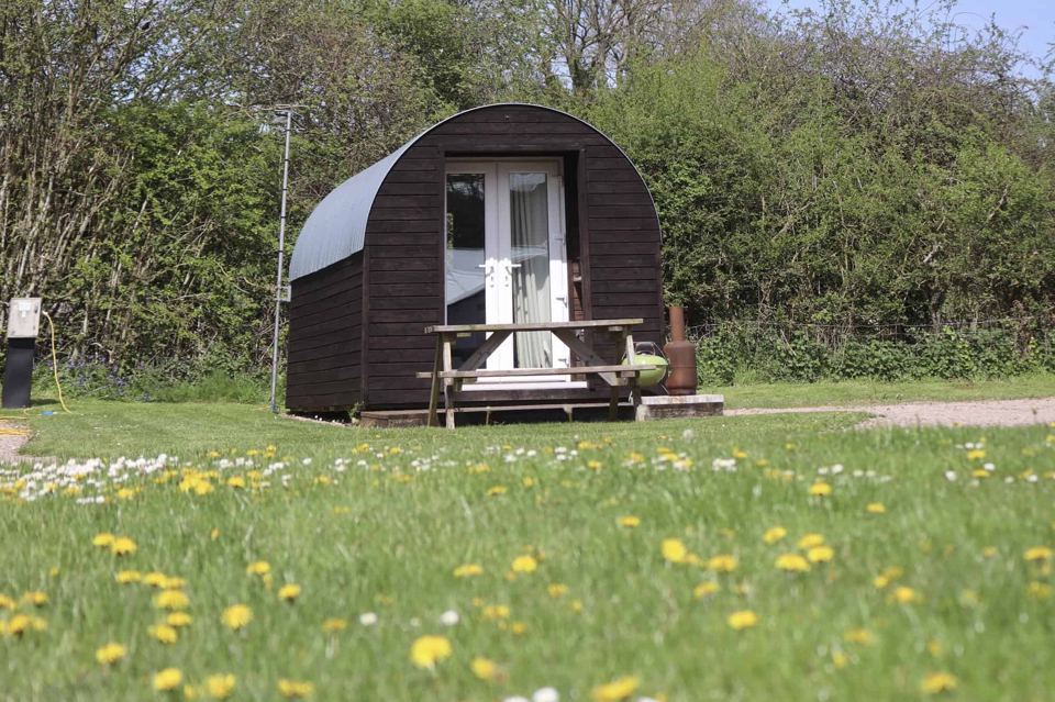 Glamping pod on the grass