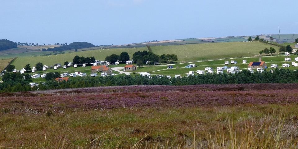 Park seen across the moor