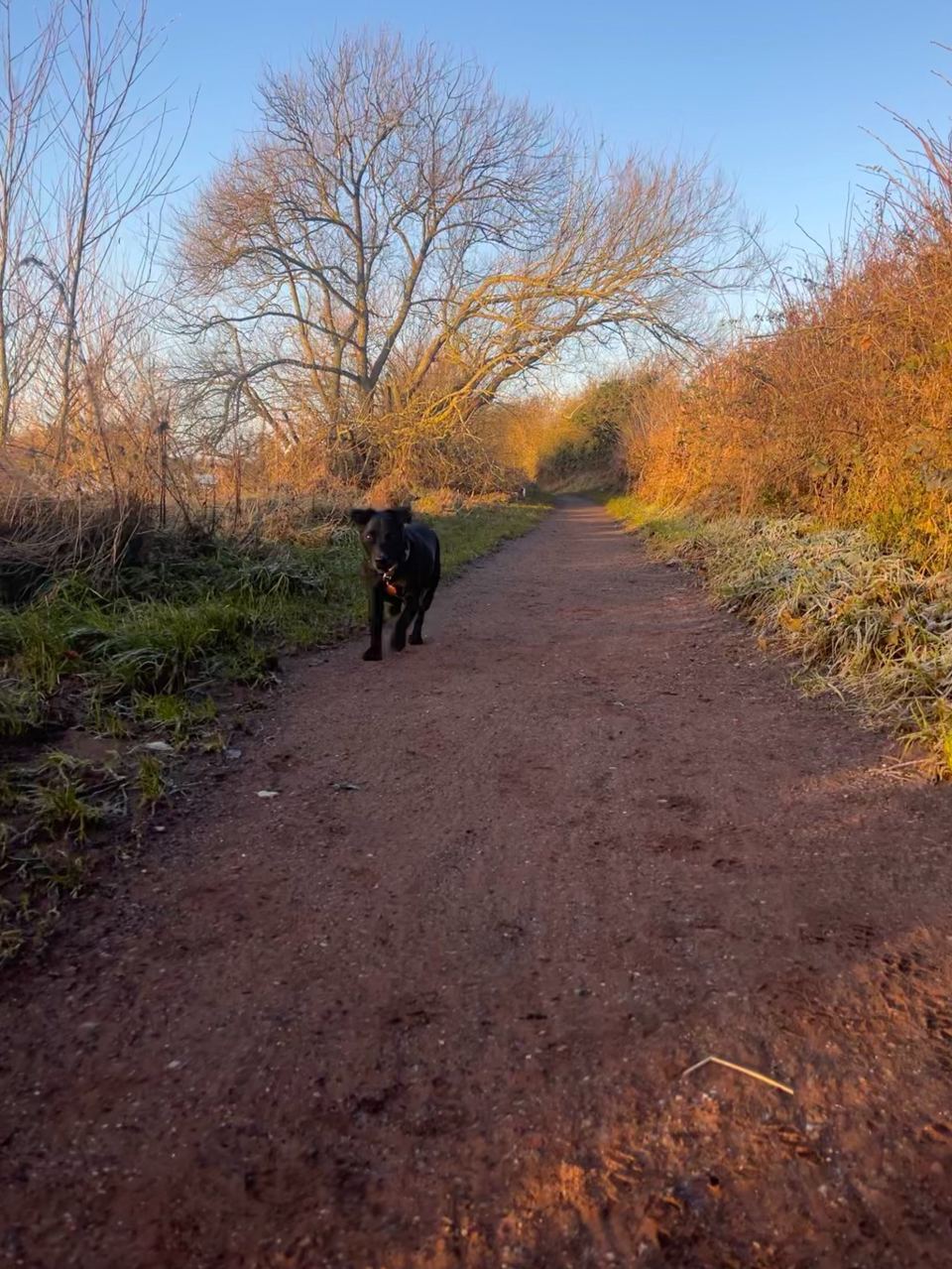 Footpath near the site