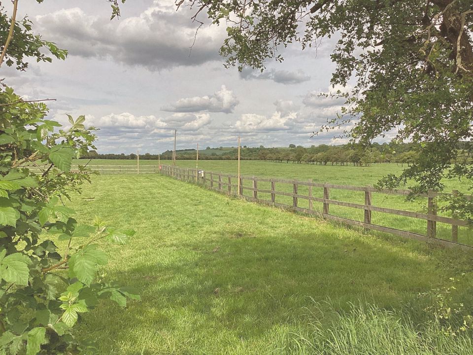 Camping field with fence