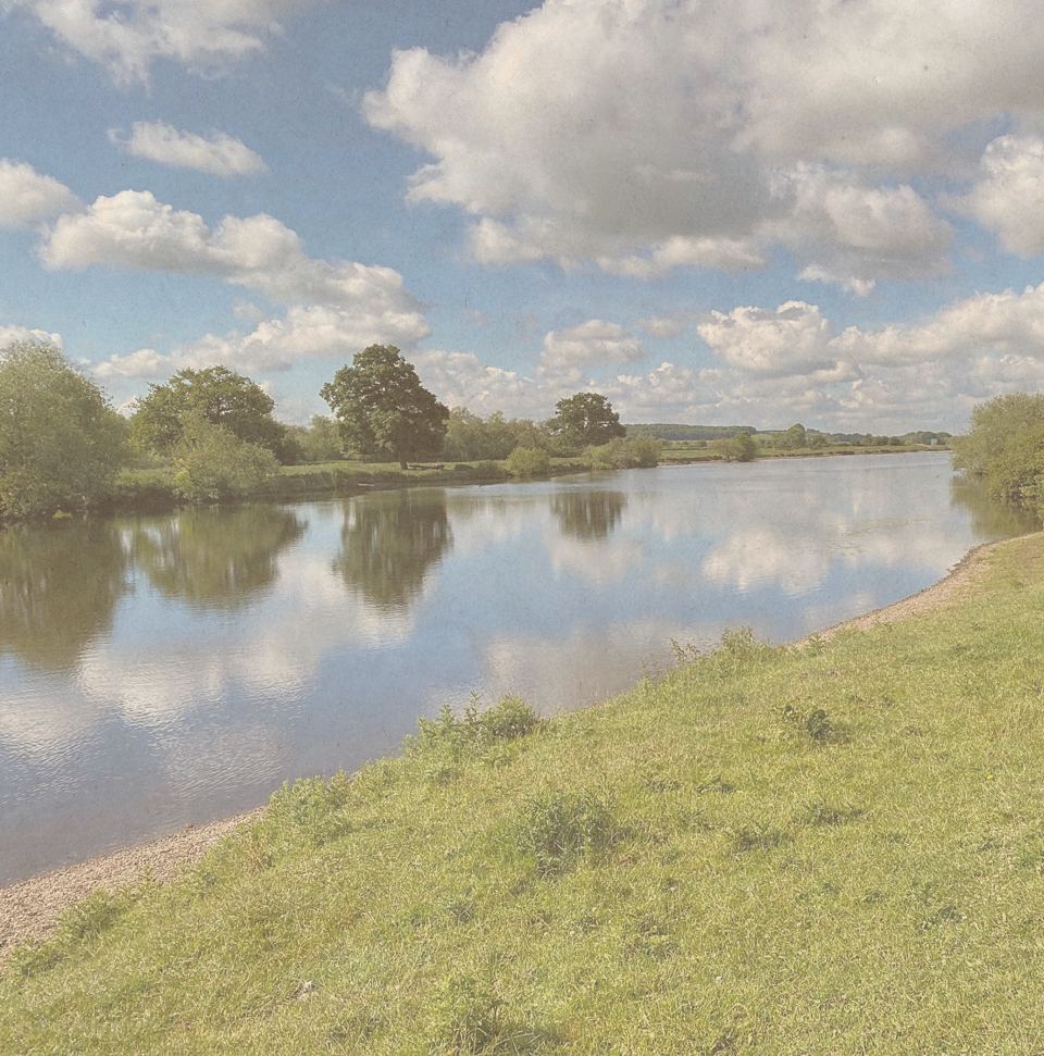 River Trent bank