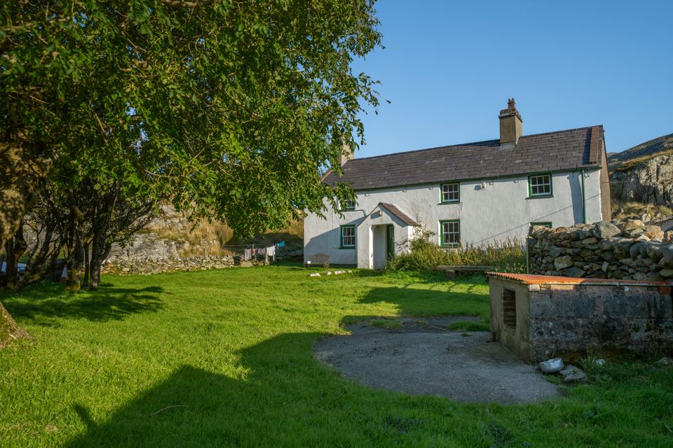 Grass by the farmhouse